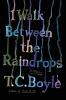 Book cover for "I walk between the raindrops".