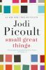 Book cover for "Small great things".