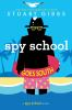 Book cover for "Spy School goes south".