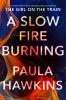 Book cover for "A slow fire burning".