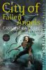 Book cover for "City of fallen angels".