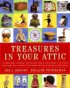 Book cover for "Treasures in your attic".