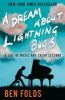 Book cover for "A dream about lightning bugs".
