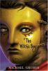 Book cover for "The witch's boy".