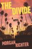 Book cover for "The divide".
