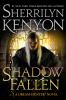 Book cover for "Shadow fallen".
