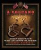 Book cover for "A volcano beneath the snow".