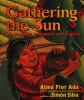 Book cover for "Gathering the sun".