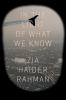 Book cover for "In the light of what we know".