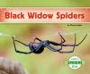 Book cover for "Black widow spiders".