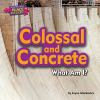 Book cover for "Colossal and concrete".