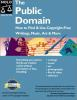 Book cover for "The public domain".