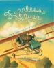 Book cover for "Fearless flyer".