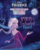 Book cover for "Disney Frozen II".