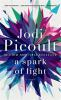 Book cover for "A spark of light".
