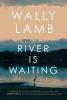 Book cover for "The river is waiting".