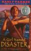 Book cover for "A girl named disaster".