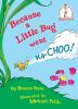 Book cover for "Because a little bug went ka-choo!".