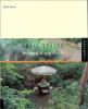 Book cover for "Small spaces, beautiful gardens".