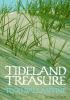 Book cover for "Tideland treasure".