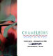 Book cover for "Chameleons".