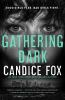 Book cover for "Gathering dark".