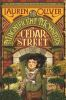 Book cover for "The magnificent monsters of Cedar Street".