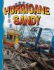 Book cover for "Superstorm Sandy".