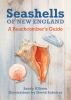 Book cover for "Seashells of New England".