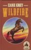 Book cover for "Wildfire".