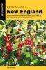 Book cover for "Foraging New England".