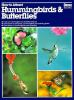 Book cover for "How to attract hummingbirds & butterflies".