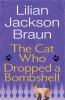 Book cover for "The cat who dropped a bombshell".