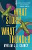 Book cover for "What storm, what thunder".