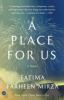 Book cover for "A place for us".