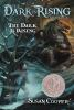 Book cover for "The dark is rising".