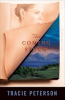 Book cover for "The Coming Storm".