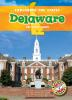 Book cover for "Delaware".