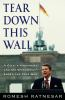 Book cover for "Tear down this wall".