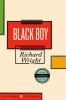 Book cover for "Black boy (American hunger)".