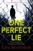 Book cover for "One perfect lie".