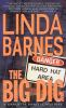 Book cover for "The big dig".