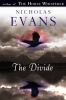 Book cover for "The divide".