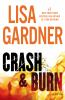 Book cover for "Crash & burn".