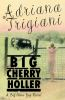 Book cover for "Big Cherry Holler".