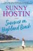 Book cover for "Summer on Highland Beach".