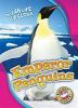 Book cover for "Emperor penguins".
