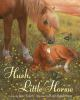Book cover for "Hush, little horsie".