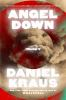 Book cover for "Angel down".