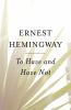 Book cover for "To have and have not".